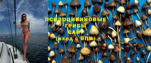 a pvp Баксан