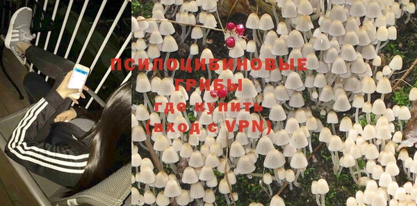 a pvp Баксан